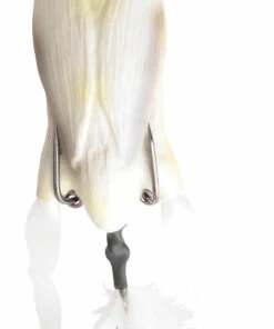 Savage Gear Savage Gear 3D Hollow Duckling 7.5 cm Color:White 27 Savage Gear Savage Gear 3D Hollow Duckling 7.5 cm Color:White -fishing-lures Outlet Shop 03282cfd 19cc 48f7 b89a c682378c9e10