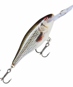 Rapala Rapala Shad Rap Deep Runner 7 cm Plug Color:FT -fishing-lures Outlet Shop 078a7bc1 ea63 41c2 8d2f 4b3cd5770a20