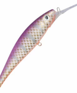 Jesse Jesse 14 cm Deep Plug Color:103 -fishing-lures Outlet Shop 08cd0660 73a6 4b42 8a6e 882042e5d18f