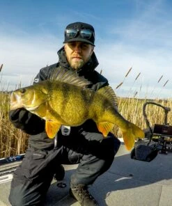 Daiwa Daiwa Grubin´ Shad 10 cm Jig 7-pack Color:Pingisu -fishing-lures Outlet Shop 0c9bb57f 23ba 4647 8c01 52653373afe7 scaled