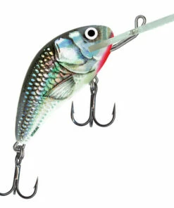 Salmo Salmo Hornet 5F 5 cm Plug Color:DAB 66 Salmo Salmo Hornet 5F 5 cm Plug Color:DAB -fishing-lures Outlet Shop 13a9a601 efd4 49ee bcb8 2056f4e1d817