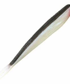 Mikado Mikado Saira Jig 14 cm, 5-Pack Color:381 -fishing-lures Outlet Shop 1e051048 41f0 466f 8276 17066960c266