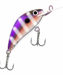 Salmo Salmo Hornet 4S Plug in Special 2014 Colors Color:KET -fishing-lures Outlet Shop 26787d29 48dc 49ca a7a8 6cbcd0f5a4b9