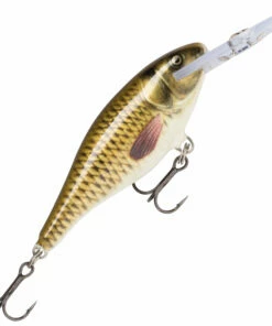 Rapala Rapala Shad Rap Deep Runner 9 cm Plug Color:SFC 30 Rapala Rapala Shad Rap Deep Runner 9 cm Plug Color:SFC -fishing-lures Outlet Shop 2bc9857c 6082 4954 bbbc bc2a5f458513