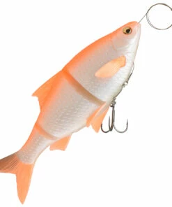 Savage Gear Savage Gear 3D Line Thru Roach Shad 18 cm Color:5 -fishing-lures Outlet Shop 2ce0c316 c8c1 49cb b65e d1f6902617fc