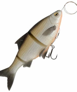 Savage Gear Savage Gear 3D Line Thru Roach Shad 18 cm Color:5 -fishing-lures Outlet Shop 2ce1d9b9 0c4d 4df5 9448 66d527f09268