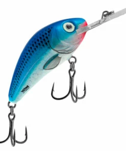 Salmo Salmo Hornet 4F 4 cm Plug Color:FIT -fishing-lures Outlet Shop 2d7647f8 d7f4 4540 a216 39bcf02f17d1