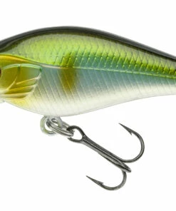 Daiwa Daiwa Toddler Crank 6 cm Plug Color:GP -fishing-lures Outlet Shop 2dccdb7a b940 420c a6b5 6eab65a9ea66