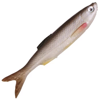 Savage Gear Savage Gear 3D Bleak Real Tail 8 cm Jig 1 Savage Gear Savage Gear 3D Bleak Real Tail 8 cm Jig