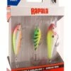 Rapala Rapala Kalatakuu Trout & Rainbow Trout 1 Lure Set