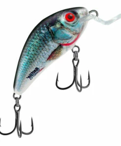 Salmo Salmo Rattlin´ Hornet 3.5 cm Plug Color:BTB -fishing-lures Outlet Shop 381c3a63 6eba 4def a859 b378ca898b45