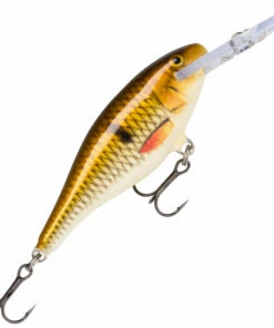 Rapala Rapala Shad Rap Deep Runner 9 cm Plug Color:SFC 31 Rapala Rapala Shad Rap Deep Runner 9 cm Plug Color:SFC -fishing-lures Outlet Shop 3c91a704 231c 440d a4fd f5ee99d5df6b