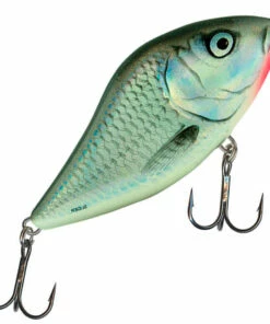 Salmo Salmo Slider 10 cm jerkbait Color:RPH 153 Salmo Salmo Slider 10 cm jerkbait Color:RPH -fishing-lures Outlet Shop 3df4b1cf 062e 4978 9657 be597e55a746