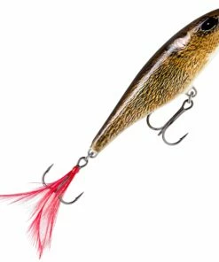 Rapala Rapala Skitter Pop 7 cm Popper Color:SGFR -fishing-lures Outlet Shop 4088fdcd a635 417c 8461 df803a61579f scaled