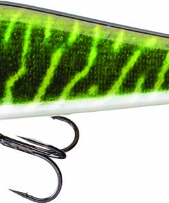 Daiwa Daiwa Prorex Lazy Jerk 120SS Jerk Color:LIVE BURBOT -fishing-lures Outlet Shop 445d91b3 c243 4947 9fe4 f0c76f1192fa