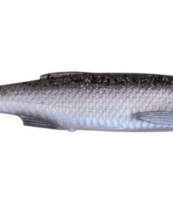 Savage Gear Savage Gear 3D Bleak Paddle Tail 8 cm Jig Color:3 Firetiger 21 Savage Gear Savage Gear 3D Bleak Paddle Tail 8 cm Jig Color:3 Firetiger -fishing-lures Outlet Shop 44c3ee2f 6645 413b b9cc 664bf6932be2