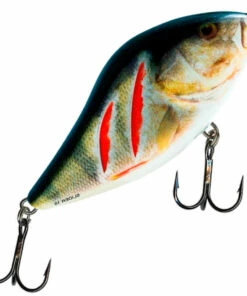 Salmo Salmo Slider 10 cm jerkbait Color:RPH 143 Salmo Salmo Slider 10 cm jerkbait Color:RPH -fishing-lures Outlet Shop 4811c440 956d 4186 b105 442aa6eb19ea