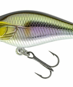 Daiwa Daiwa Toddler Crank 6 cm Plug Color:GP -fishing-lures Outlet Shop 4cb64cae f92e 4496 b766 4a4ed65d10c2