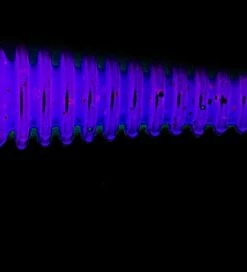 Lucky John Lucky John Tioga Jig 3.4", 6-Pack Color:T18 51 Lucky John Lucky John Tioga Jig 3.4", 6-Pack Color:T18 -fishing-lures Outlet Shop 578163a4 745b 4646 adfe 56fe170ea052