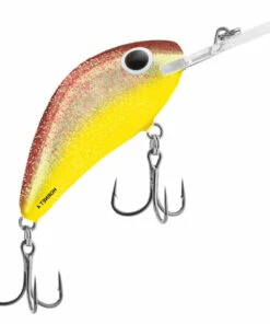 Salmo Salmo Hornet 4F 4 cm Plug Color:FIT -fishing-lures Outlet Shop 640dd11f 5b55 4d63 9d26 7e576ed0fea6