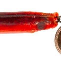 Mepps Mepps Aglia TW Mino 2 Spinner Color:KULP Gold/Red -fishing-lures Outlet Shop 6a48d62e 3636 4a8f ba40 38aa5d6d94ea