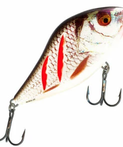 Salmo Salmo Slider 10 cm jerkbait Color:RPH 151 Salmo Salmo Slider 10 cm jerkbait Color:RPH -fishing-lures Outlet Shop 74a525fb 72d1 4b33 a2e2 561303477af5