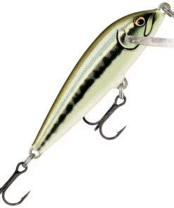 Rapala Rapala Countdown 7cm Plug Color:FRHF -fishing-lures Outlet Shop 74e8b27c 059c 438d 890c e042f4045773