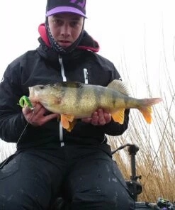 Daiwa Daiwa Grubin´ Shad 10 cm Jig 7-pack Color:Pingisu -fishing-lures Outlet Shop 8145671b 40d2 4093 a3e1 329a131fd64a