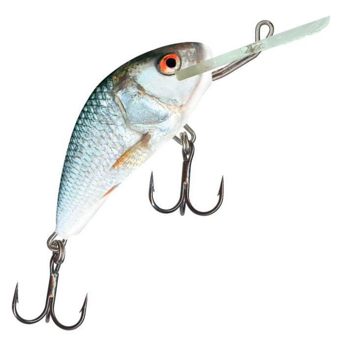 Salmo Salmo Hornet 5F 5 cm Plug Color:DAB 11 Salmo Salmo Hornet 5F 5 cm Plug Color:DAB - Image 11