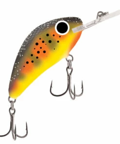 Salmo Salmo Hornet 4F 4 cm Plug Color:FIT -fishing-lures Outlet Shop 8df07fca 00be 4c13 a024 920a6451e5e8