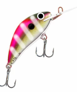 Salmo Salmo Hornet 4S Plug in Special 2014 Colors Color:KET -fishing-lures Outlet Shop 9337bb86 9a21 4513 af3d 6a88e29be0a9