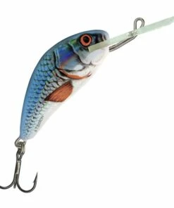 Salmo Salmo Hornet 3F 3.5 cm Plug Color:RTS -fishing-lures Outlet Shop 933dc9bc feb5 4ac1 909f e3a495079e86