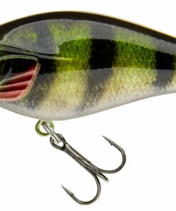 Daiwa Daiwa Toddler Crank 6 cm Plug Color:GP -fishing-lures Outlet Shop a0931aee c610 405d bb77 a823dce6dc6d