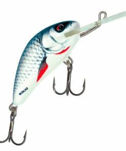 Salmo Salmo Hornet 4F 4 cm Plug Color:FIT -fishing-lures Outlet Shop a0de4202 bcce 4bc8 acb7 4f8a2c448799