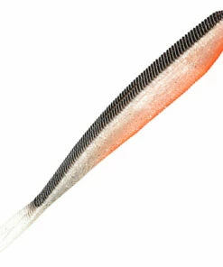 Mikado Mikado Saira Jig 14 cm, 5-Pack Color:381 -fishing-lures Outlet Shop a252b02d 48d4 469c 9add 98b322fe24b6