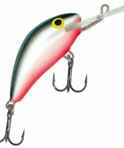 Salmo Salmo Hornet 5F 5 cm Plug Color:DAB 41 Salmo Salmo Hornet 5F 5 cm Plug Color:DAB -fishing-lures Outlet Shop a58be59b 7f6a 4e9c aa7f 8878d8f776e5
