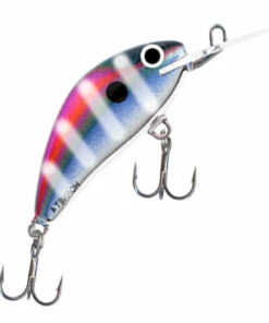 Salmo Salmo Hornet 4S Plug in Special 2014 Colors Color:KET -fishing-lures Outlet Shop a7cd4a8e dde5 4200 98d3 6dcc4148ed7d