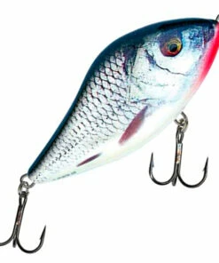 Salmo Salmo Slider 10 cm jerkbait Color:RPH 123 Salmo Salmo Slider 10 cm jerkbait Color:RPH -fishing-lures Outlet Shop a7eb23f2 ce86 4bc9 a884 ff26aeb1b812
