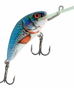 Salmo Salmo Hornet 5F 5 cm Plug Color:DAB 59 Salmo Salmo Hornet 5F 5 cm Plug Color:DAB -fishing-lures Outlet Shop ba79aed8 30ca 466c 92a0 2641bed468cb