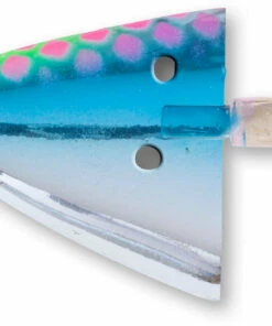 Rhino Rhino Bait Holder Medium 3-pack Color:Super Shiner UV -fishing-lures Outlet Shop bd3b90cc 1106 4b45 a966 4ebbf04f2102