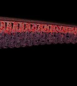 Lucky John Lucky John Long John Shad 4.2", 6-Pack Color:T44 54 Lucky John Lucky John Long John Shad 4.2", 6-Pack Color:T44 -fishing-lures Outlet Shop c088021a 5344 4e14 ba50 6b2eb66daf21