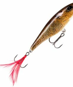 Rapala Rapala Skitter Pop 7 cm Popper Color:SGFR -fishing-lures Outlet Shop c6905344 08dc 4fe4 af4f 5e575b4d8318 scaled