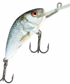 Salmo Salmo Hornet 4F 4 cm Plug Color:FIT -fishing-lures Outlet Shop d118350d 2385 4539 9716 8655084d7858