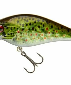 Daiwa Daiwa Toddler Crank 6 cm Plug Color:GP -fishing-lures Outlet Shop d2def575 6465 46e9 94da dc064fe1861d