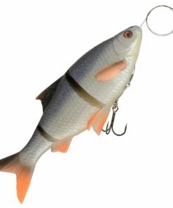 Savage Gear Savage Gear 3D Line Thru Roach Shad 18 cm Color:5 -fishing-lures Outlet Shop d47f9b8f 7123 4f47 9414 1efa6d6489c0 scaled