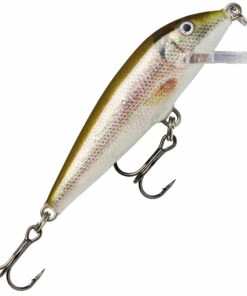 Rapala Rapala Countdown 7cm Plug Color:FRHF -fishing-lures Outlet Shop d7d2acc5 6f3a 42be bd4e 821ba152dc06