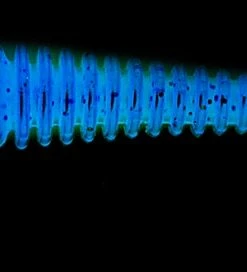 Lucky John Lucky John Tioga Jig 3.4", 6-Pack Color:T18 53 Lucky John Lucky John Tioga Jig 3.4", 6-Pack Color:T18 -fishing-lures Outlet Shop da023367 f35e 4479 beb9 0399cd920f9d