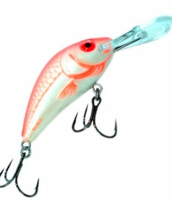 Salmo Salmo Hornet 4F 4 cm Plug Color:FIT -fishing-lures Outlet Shop dc95a1fd 1ce6 4b47 9cf6 20e4de9b91e0