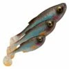 Savage Gear Savage Gear Craft Shad 7.2 cm Jig 5-pack Color:Perch