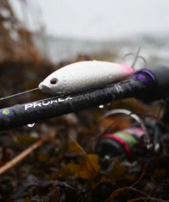 Daiwa Daiwa SC ST Inline Lunker 21 g Plug Color:WH -fishing-lures Outlet Shop de9a9225 612e 409e 81bd 922c820ca228 scaled